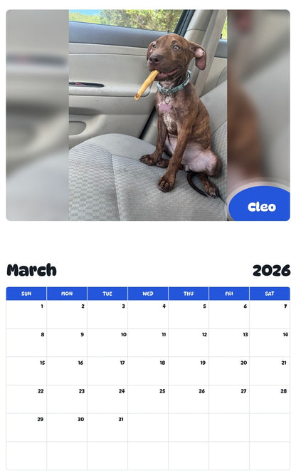 November 2025 - October 2026 Cleo - Pawidols Pet Calendar