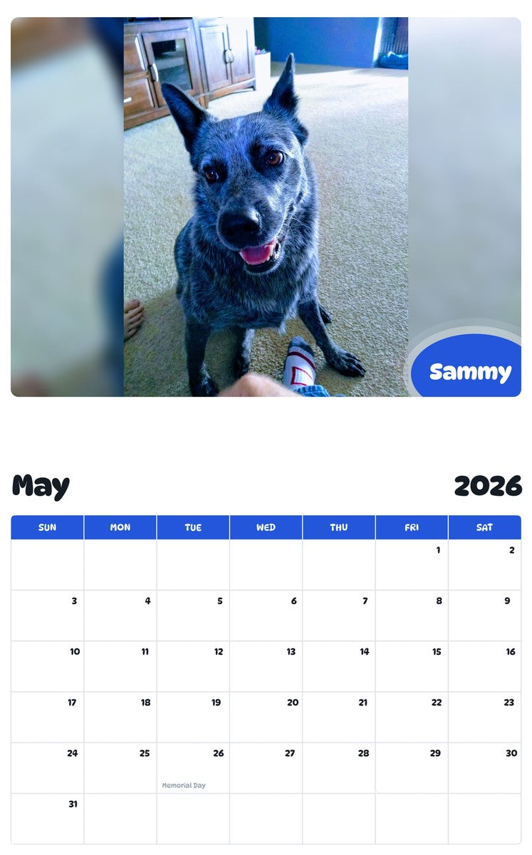 2026 - 2027 Sammy - Pawidols Pet Calendar