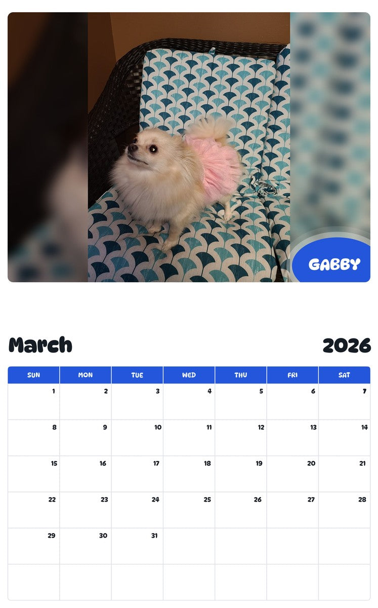 November 2025 - October 2026 GABBY - Pawidols Pet Calendar