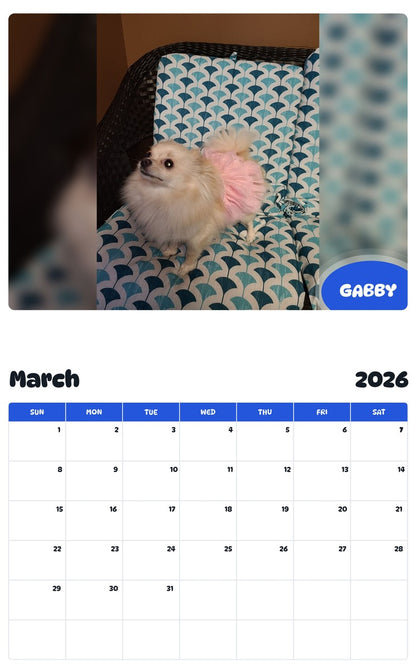 November 2025 - October 2026 GABBY - Pawidols Pet Calendar