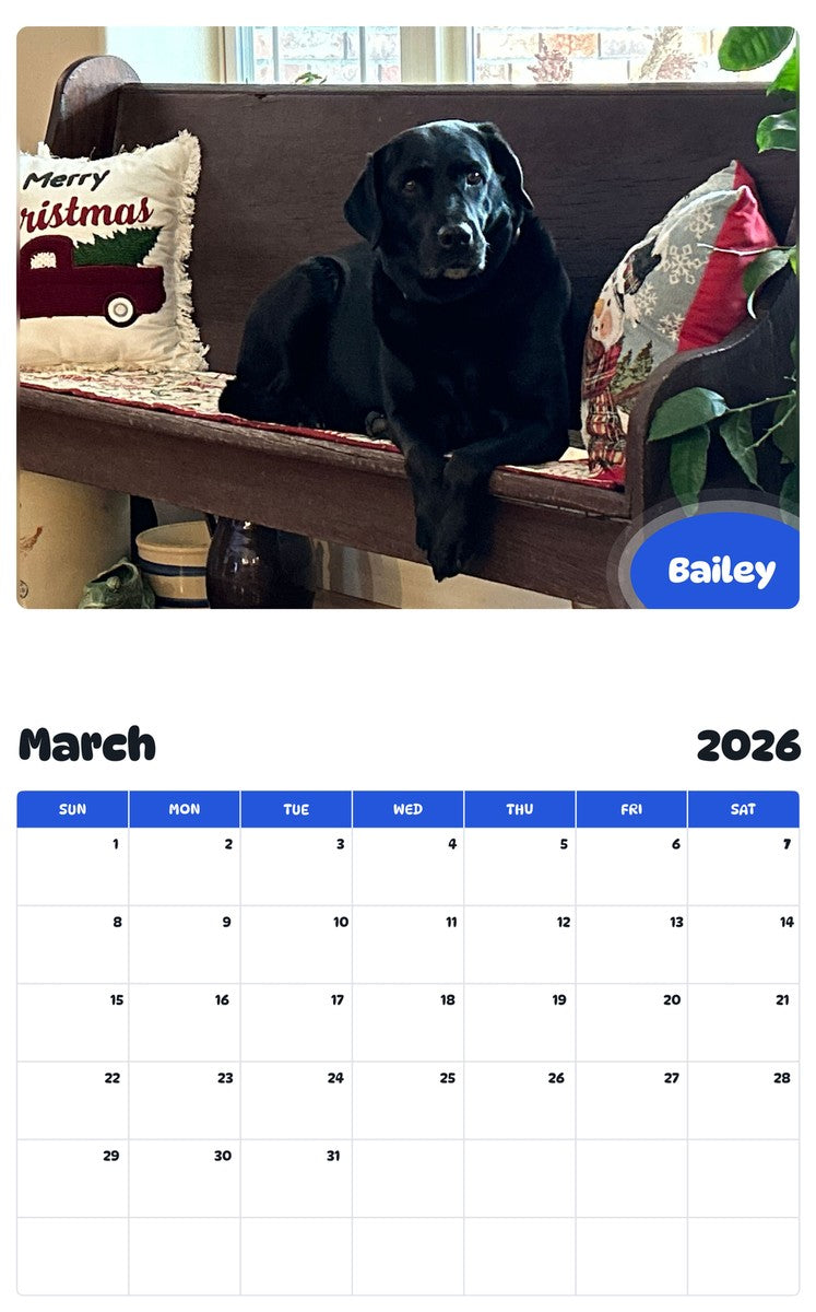 November 2025 - October 2026 Bailey - Pawidols Pet Calendar