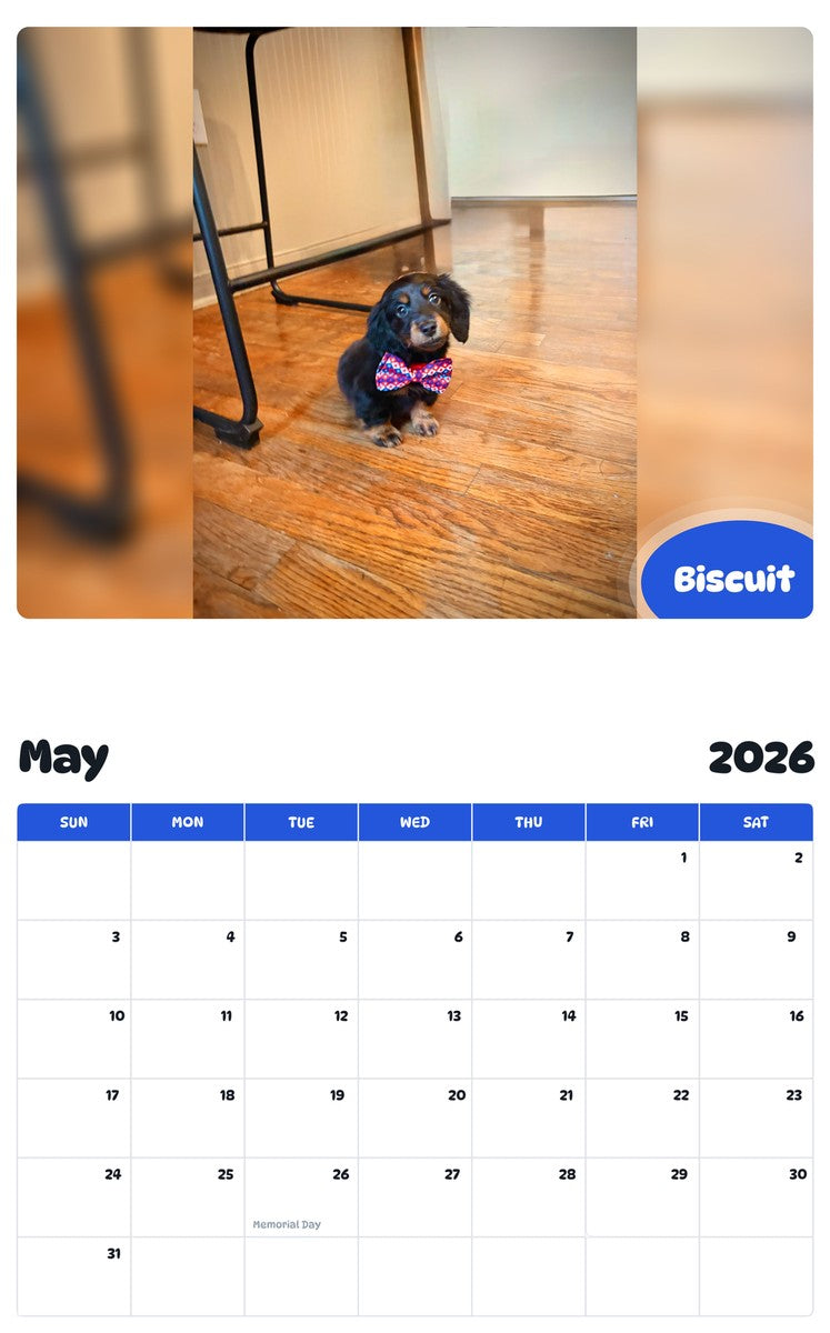 2026 - 2027 Biscuit - Pawidols Pet Calendar
