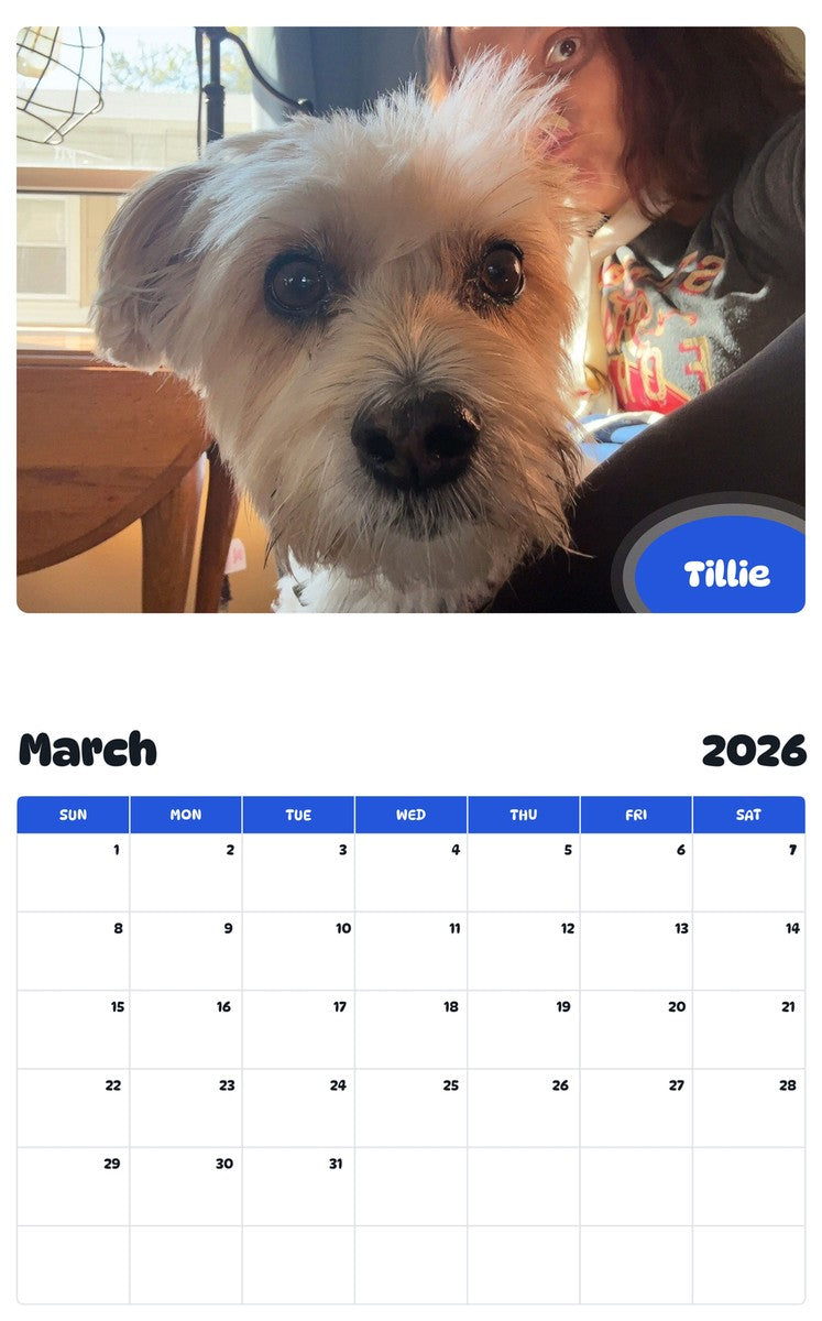 November 2025 - October 2026 Tillie - Pawidols Pet Calendar