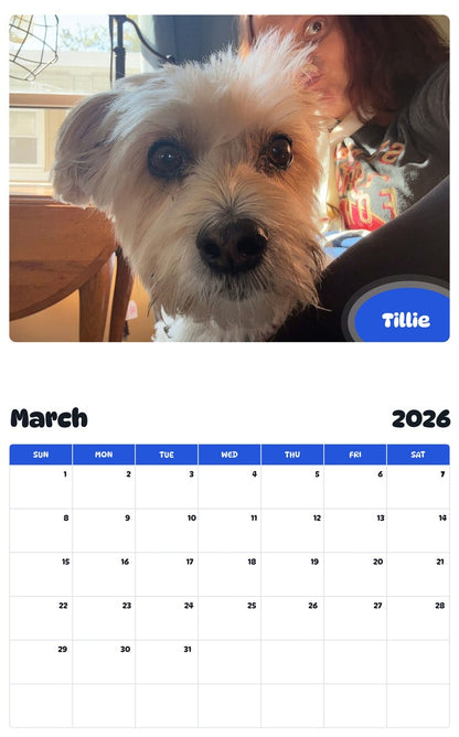 November 2025 - October 2026 Tillie - Pawidols Pet Calendar