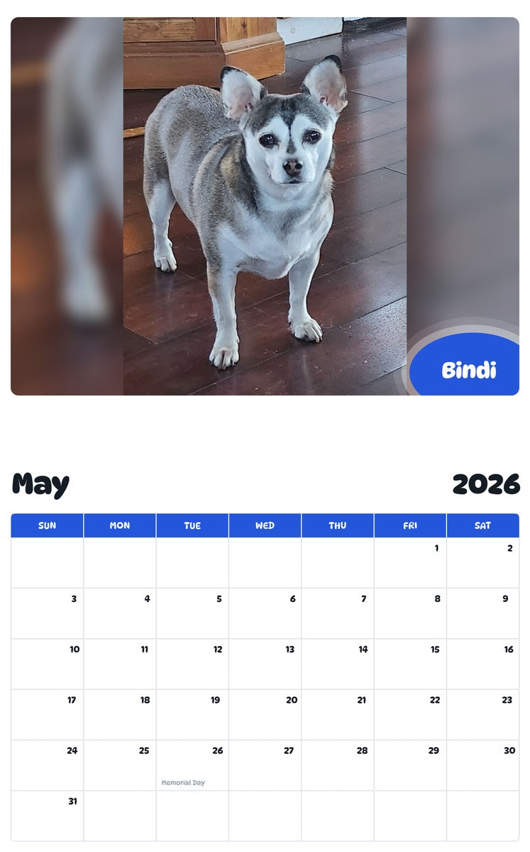 2026 - 2027 Bindi - Pawidols Pet Calendar