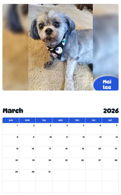 November 2025 - October 2026 Mei lee - Pawidols Pet Calendar
