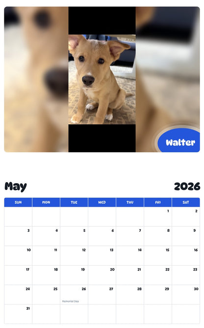 2026 - 2027 Walter - Pawidols Pet Calendar
