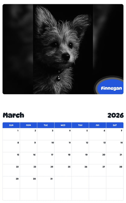 November 2025 - October 2026 Finnegan - Pawidols Pet Calendar