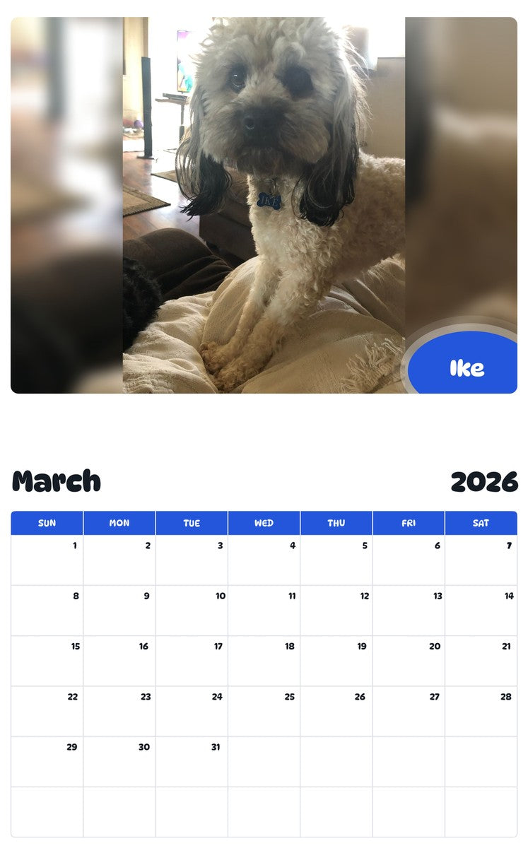 November 2025 - October 2026 Ike - Pawidols Pet Calendar