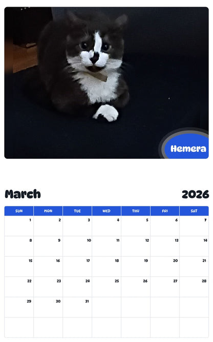 November 2025 - October 2026 Hemera - Pawidols Pet Calendar