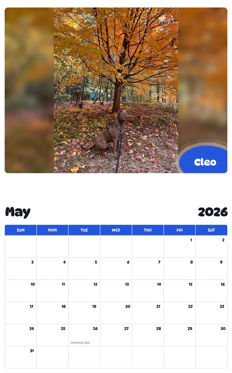 2026 - 2027 Cleo - Pawidols Pet Calendar