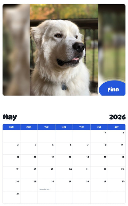 2026 - 2027 Finn - Pawidols Pet Calendar