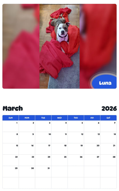 November 2025 - October 2026 Luna - Pawidols Pet Calendar