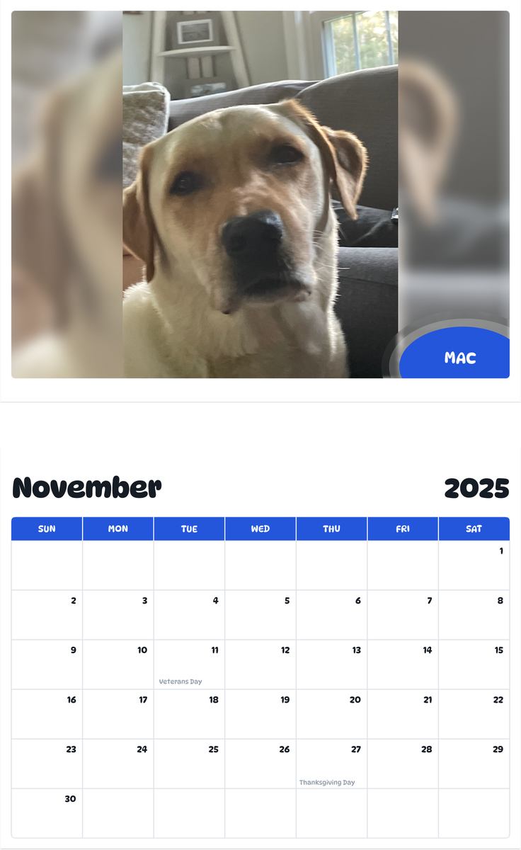 July 2025 - June 2026 Mac - Pawidols Pet Calendar