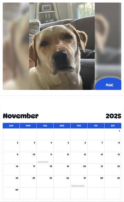July 2025 - June 2026 Mac - Pawidols Pet Calendar