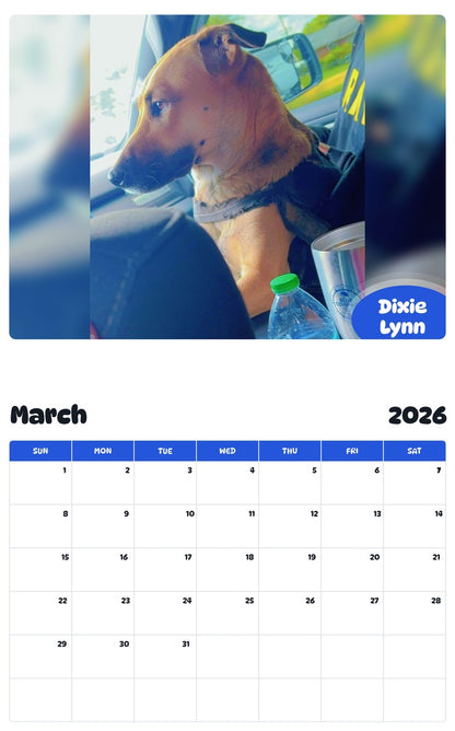 November 2025 - October 2026 Dixie Lynn - Pawidols Pet Calendar
