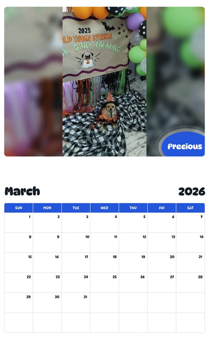 November 2025 - October 2026 Precious - Pawidols Pet Calendar