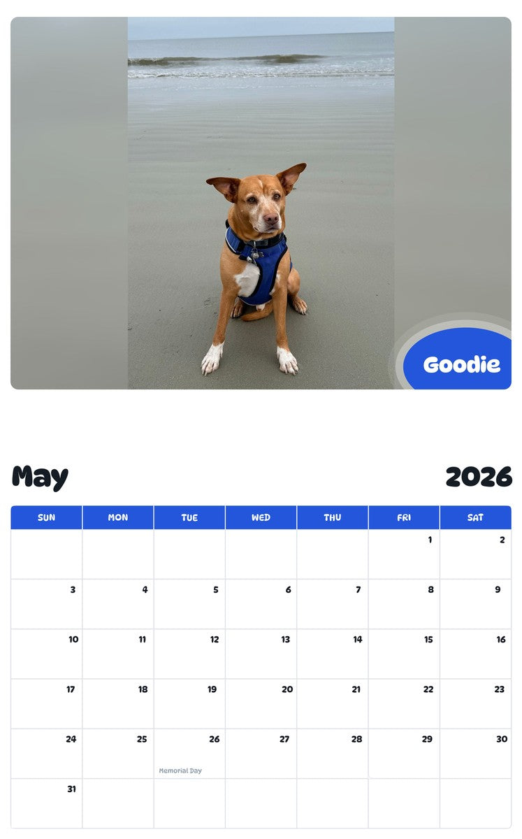 2026 - 2027 Goodie - Pawidols Pet Calendar