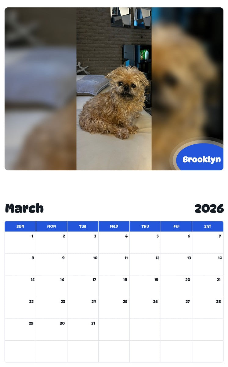 November 2025 - October 2026 Brooklyn - Pawidols Pet Calendar
