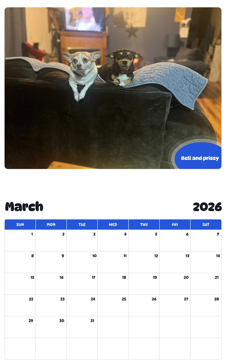 November 2025 - October 2026 Bell and prissy - Pawidols Pet Calendar
