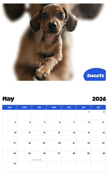 2026 - 2027 Sweets - Pawidols Pet Calendar