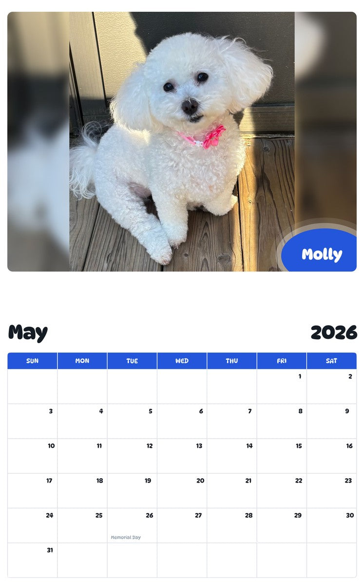 2026 - 2027 Molly - Pawidols Pet Calendar