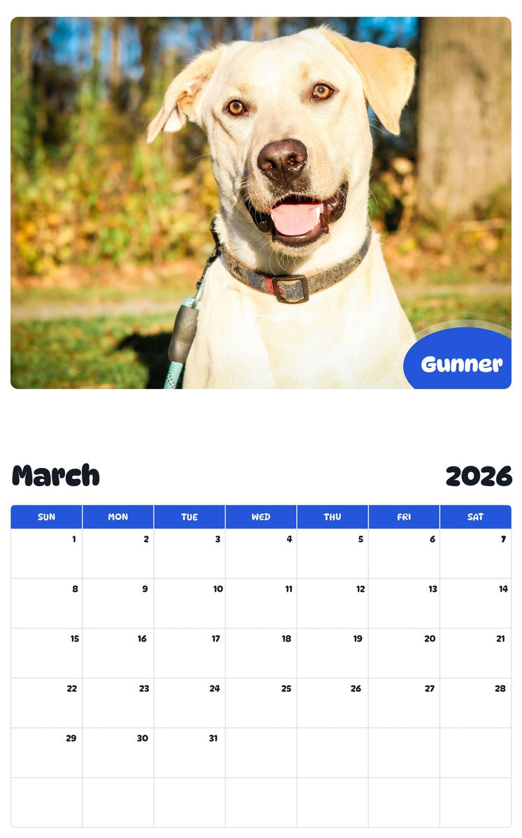 November 2025 - October 2026 Gunner - Pawidols Pet Calendar