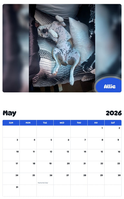 2026 - 2027 Allie - Pawidols Pet Calendar