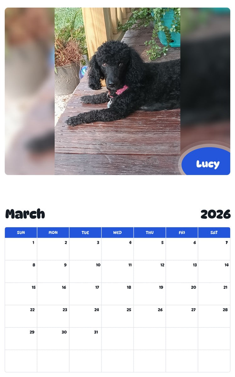 November 2025 - October 2026 Lucy - Pawidols Pet Calendar
