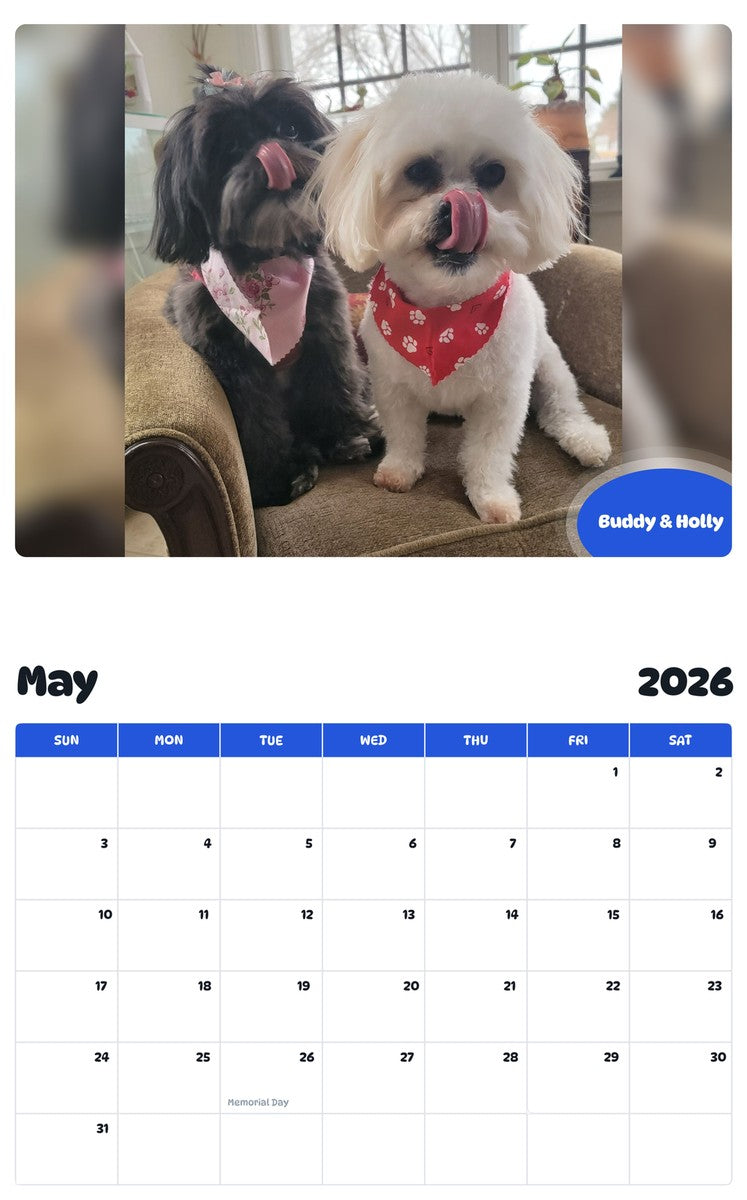 2026 - 2027 Buddy & Holly - Pawidols Pet Calendar