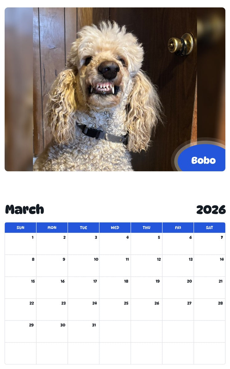 November 2025 - October 2026 Bobo - Pawidols Pet Calendar