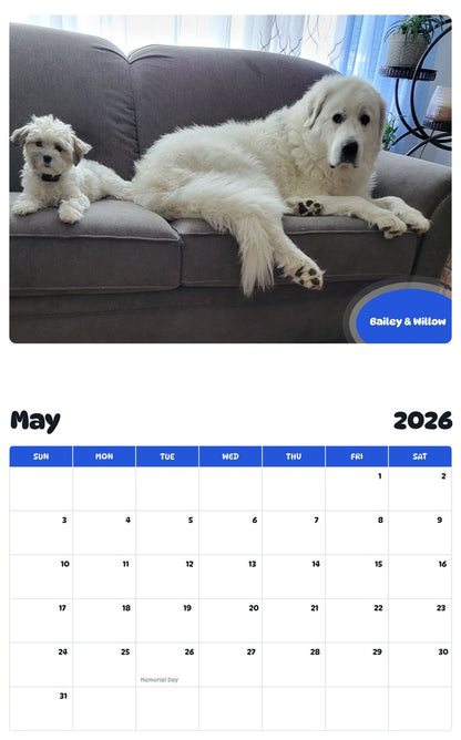 2026 - 2027 Bailey & Willow - Pawidols Pet Calendar