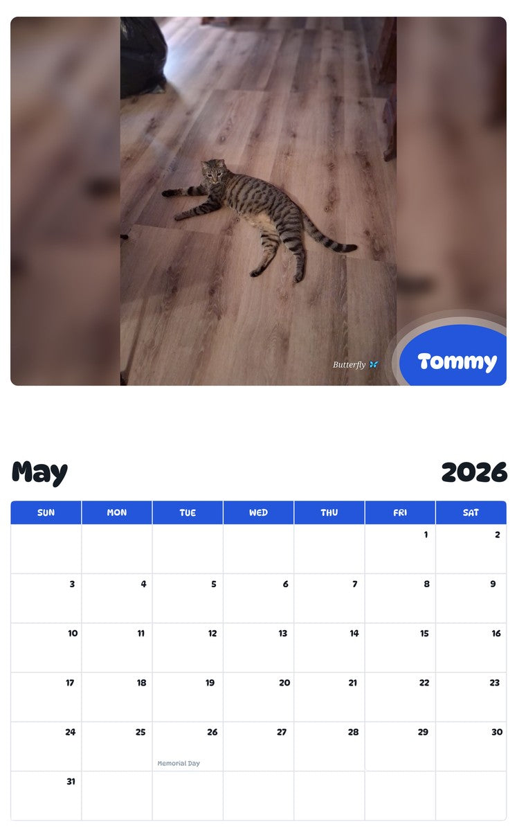 2026 - 2027 Tommy - Pawidols Pet Calendar