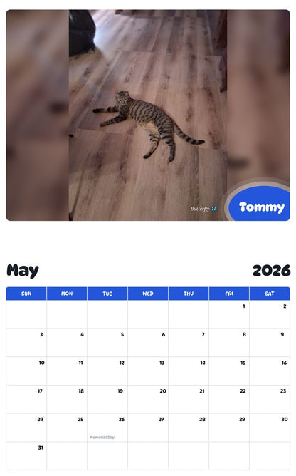 2026 - 2027 Tommy - Pawidols Pet Calendar
