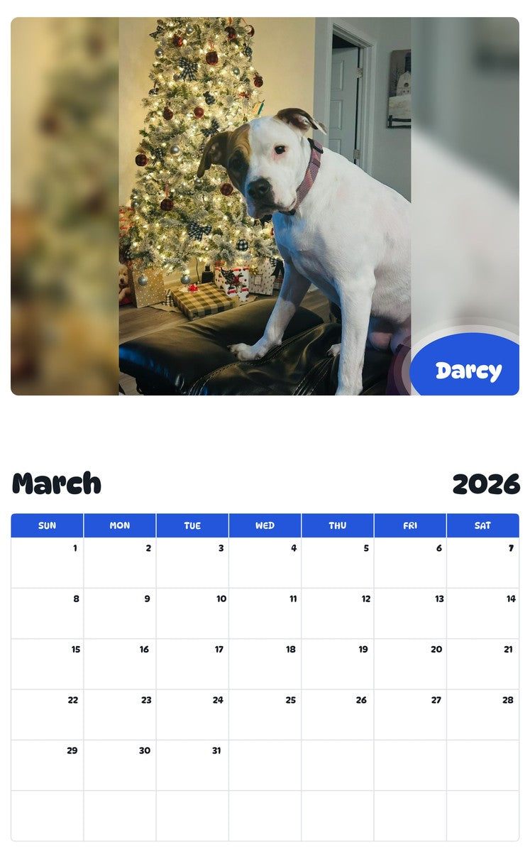 November 2025 - October 2026 Darcy - Pawidols Pet Calendar