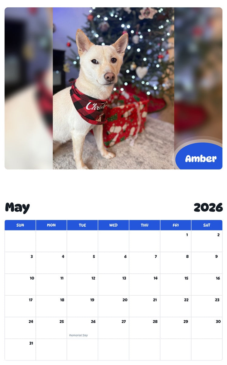 2026 - 2027 Amber - Pawidols Pet Calendar