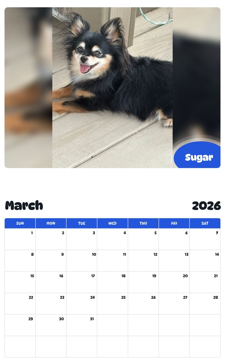 November 2025 - October 2026 Sugar - Pawidols Pet Calendar