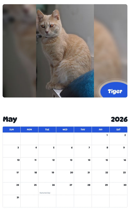 2026 - 2027 Tiger - Pawidols Pet Calendar
