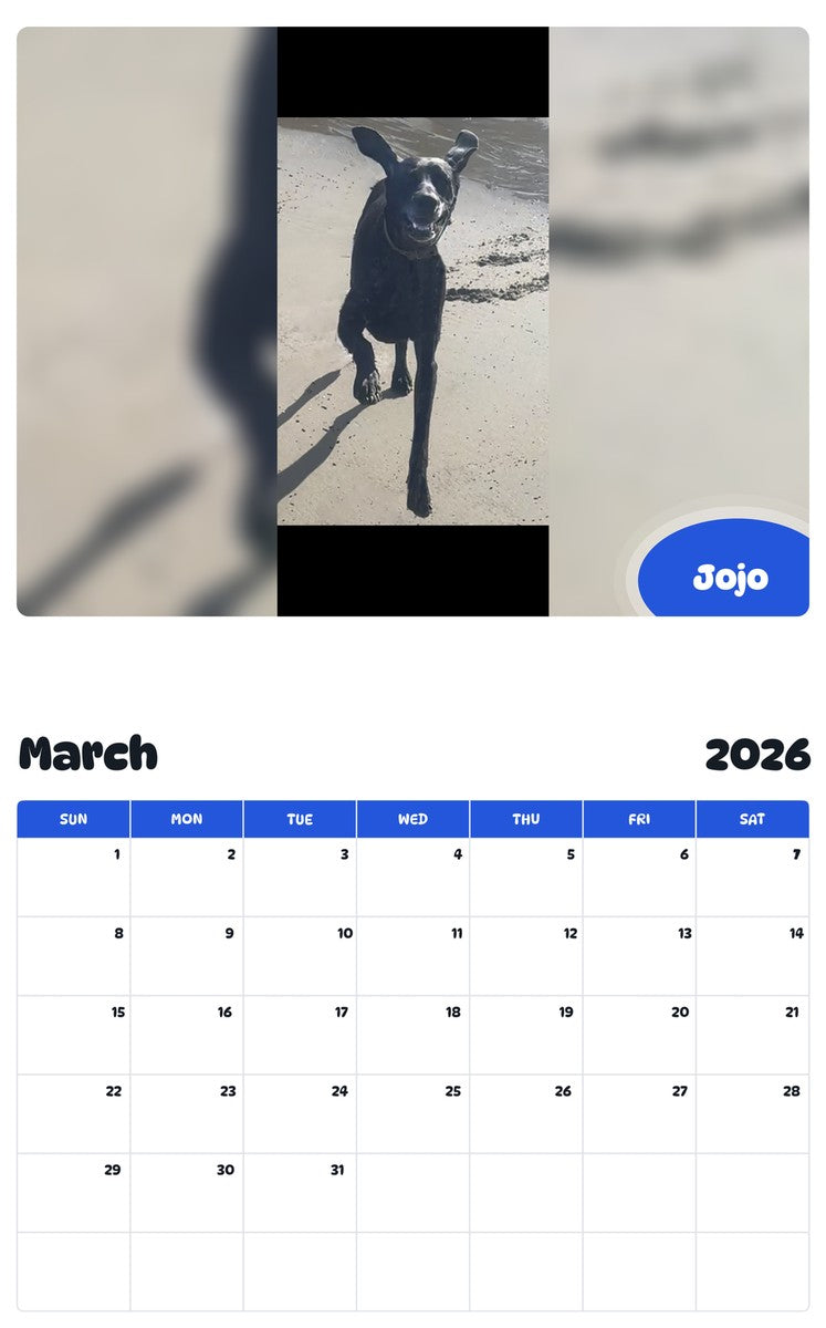 November 2025 - October 2026 Jojo - Pawidols Pet Calendar