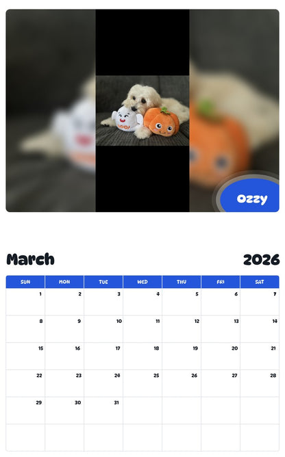 November 2025 - October 2026 Ozzy - Pawidols Pet Calendar