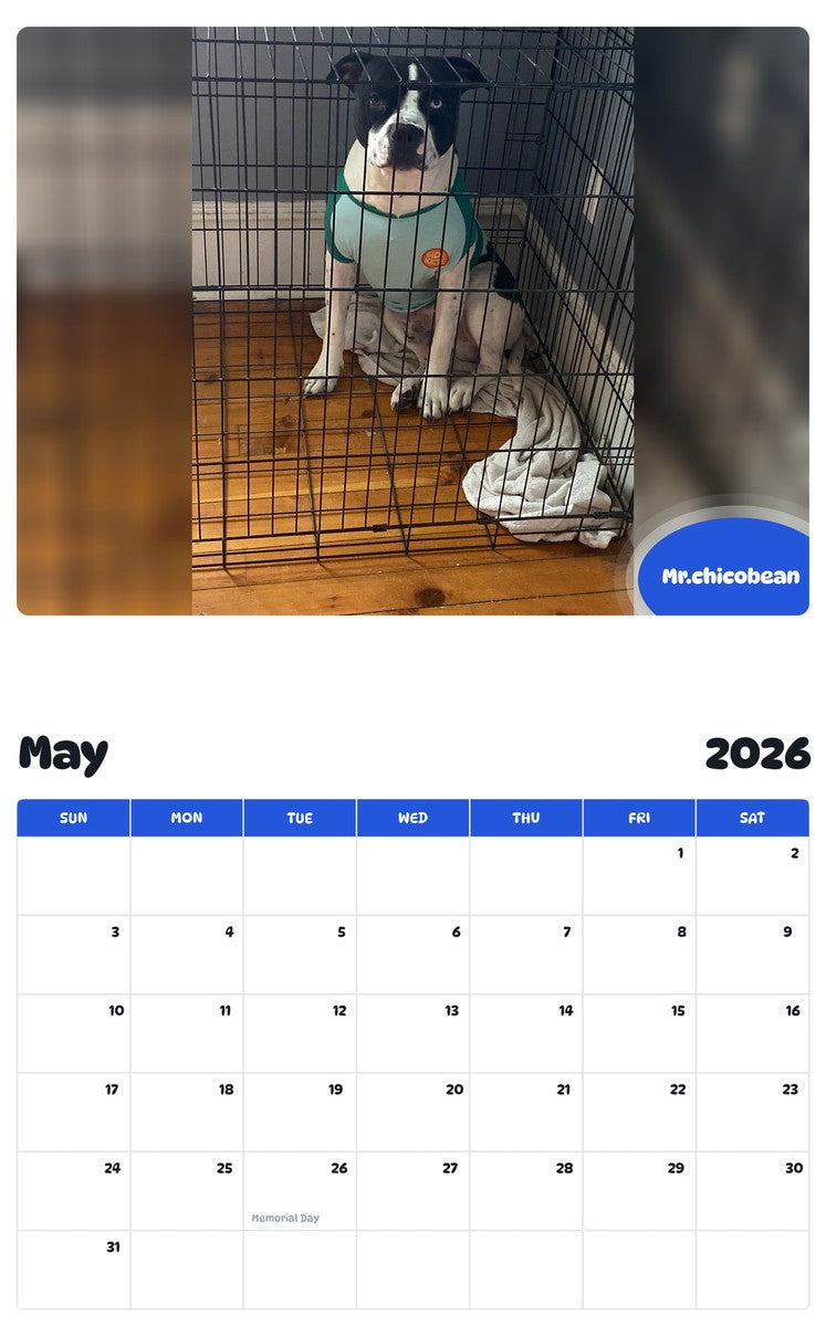 2026 - 2027 Mr.chicobean - Pawidols Pet Calendar