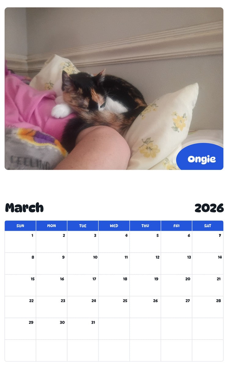 November 2025 - October 2026 Ongie - Pawidols Pet Calendar