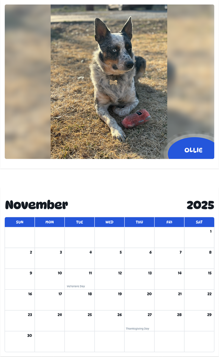 July 2025 - June 2026 Ollie - Pawidols Pet Calendar