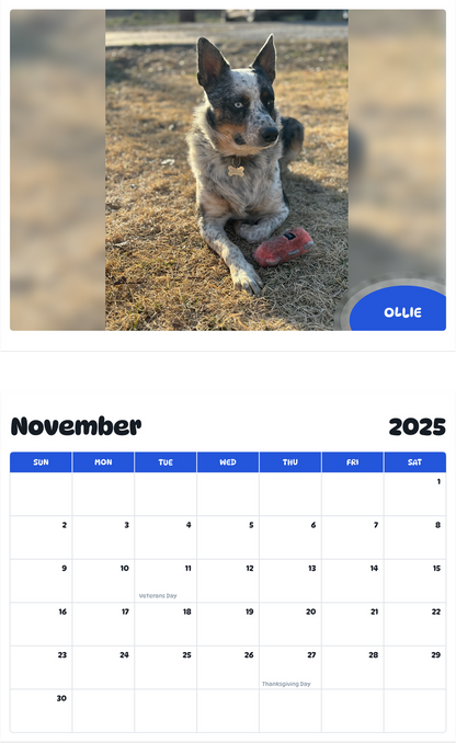 July 2025 - June 2026 Ollie - Pawidols Pet Calendar