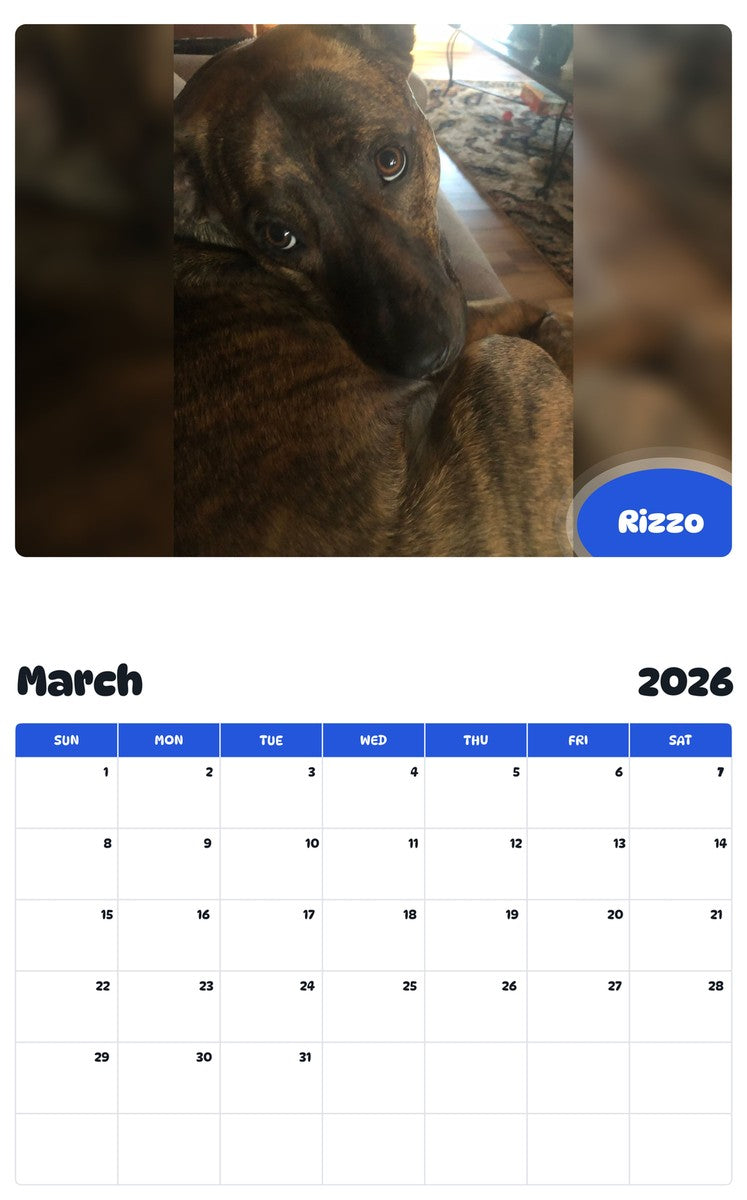 November 2025 - October 2026 Rizzo - Pawidols Pet Calendar