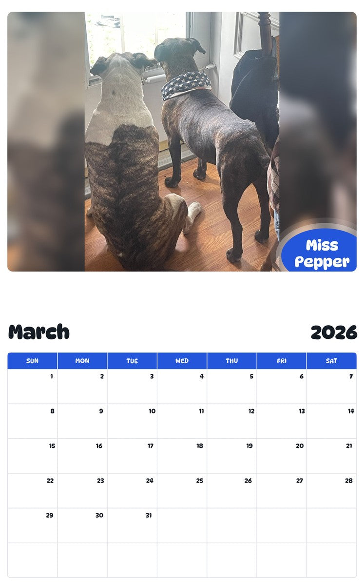 November 2025 - October 2026 Miss Pepper - Pawidols Pet Calendar