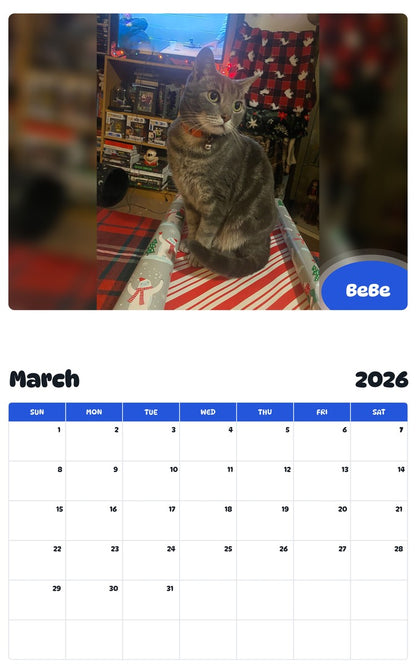 November 2025 - October 2026 BeBe - Pawidols Pet Calendar