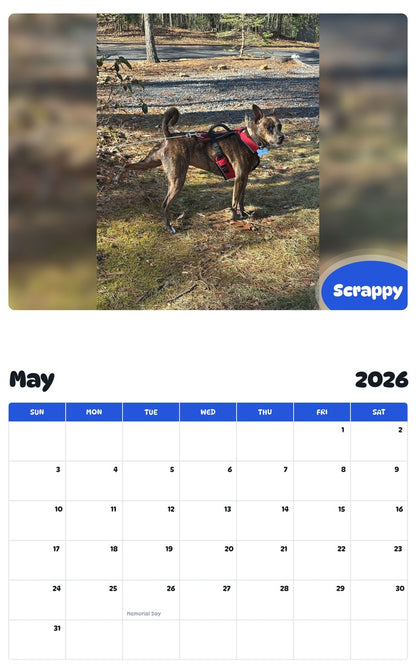 2026 - 2027 Scrappy - Pawidols Pet Calendar