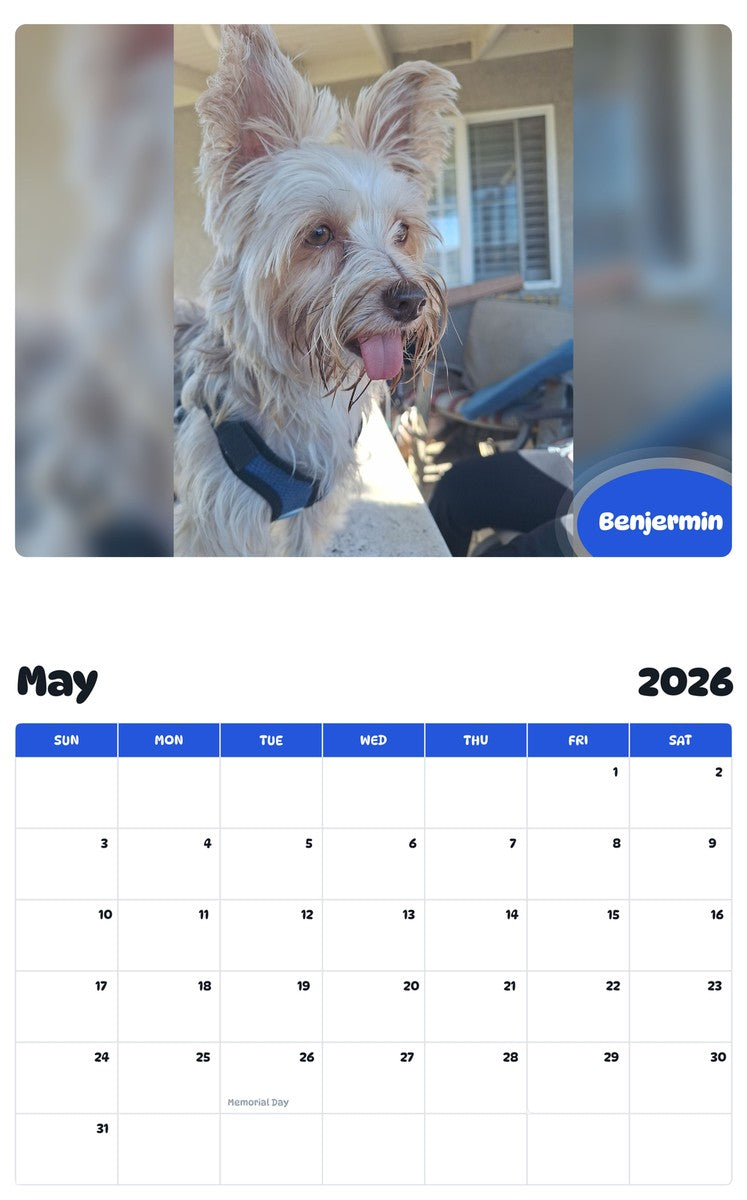 2026 - 2027 Benjermin - Pawidols Pet Calendar