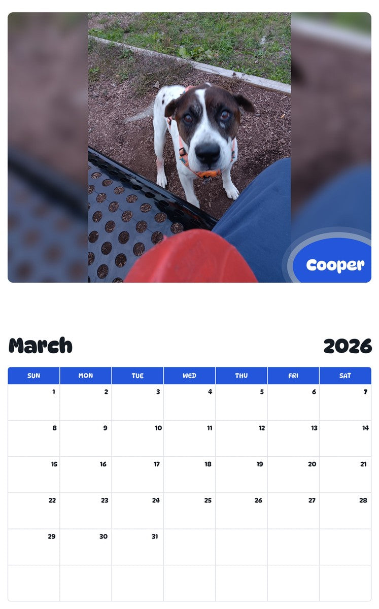 November 2025 - October 2026 Cooper - Pawidols Pet Calendar